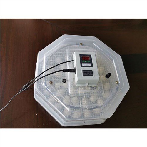 Καλύτερος Θερμοκοιτίδα Αυγών 2022